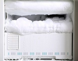 Правила эксплуатации и разморозки холодильников Bosch